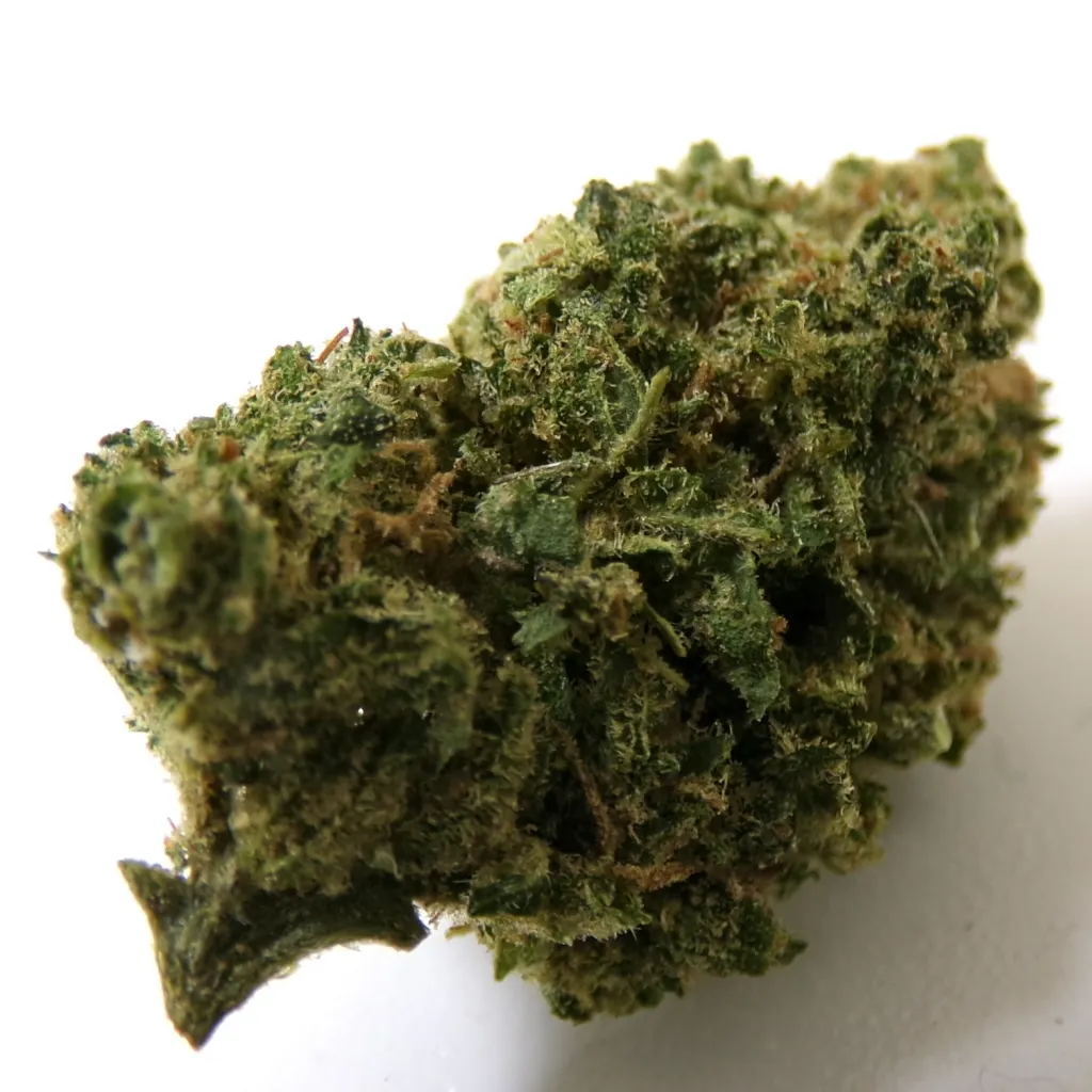 Tangie Tonic