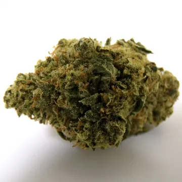 CBD - Amnesia