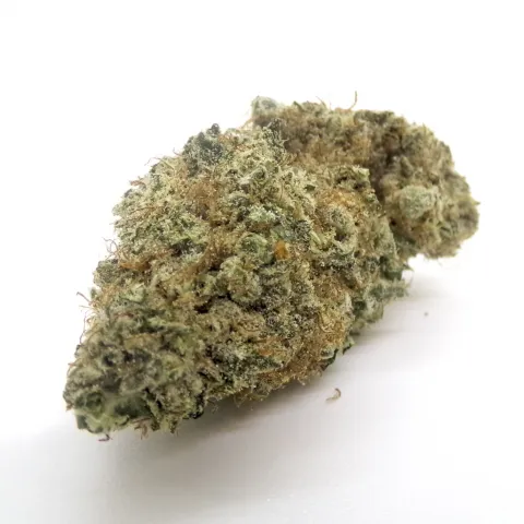 MS - White Banger