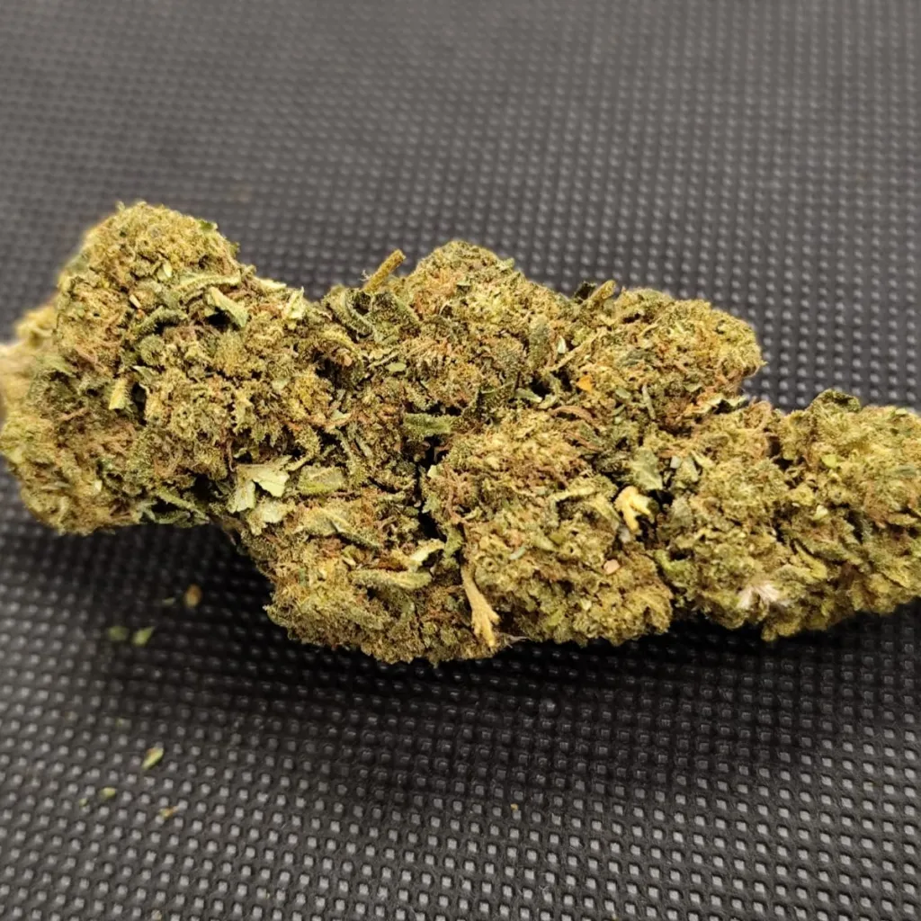 GMA - Cookie