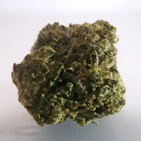 FS - Gelato