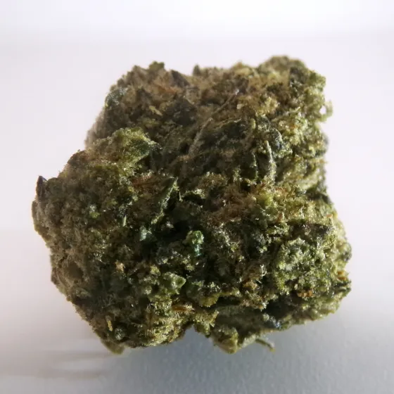 FS - Gelato