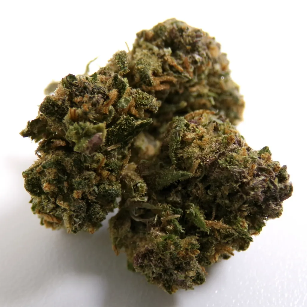Sugar Purple