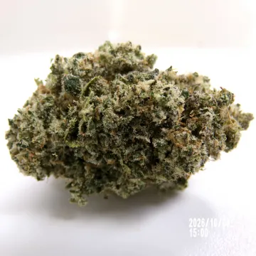 CBD - Legendary Skunk