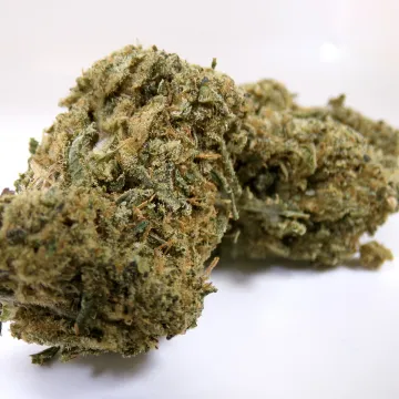 CBD - Sweet Critical