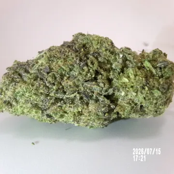 CBD - Blue Lagon