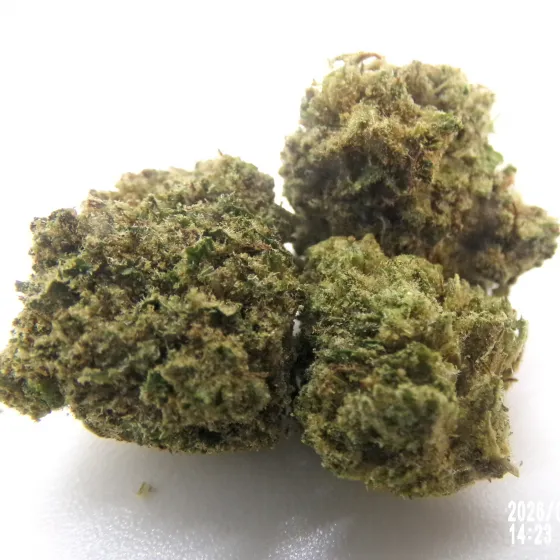 MS - Critical Berries