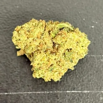 SB - Critical Berry