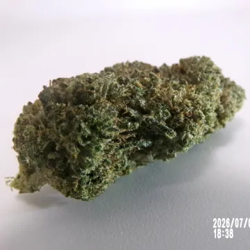 MS - Runtz