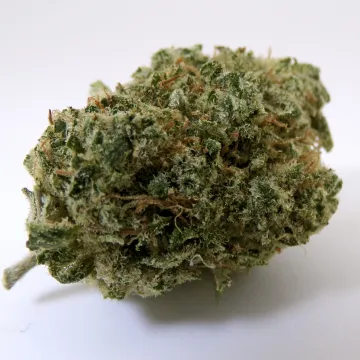 CBD - V1