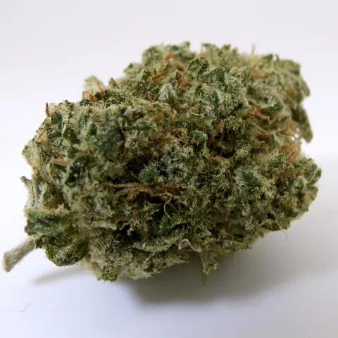 CBD - V1