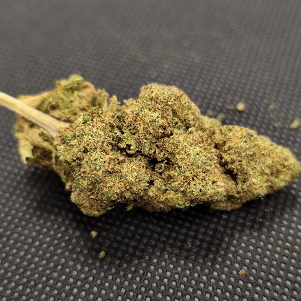 OMG - Critical