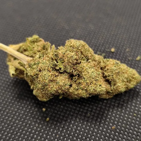 OMG - Critical