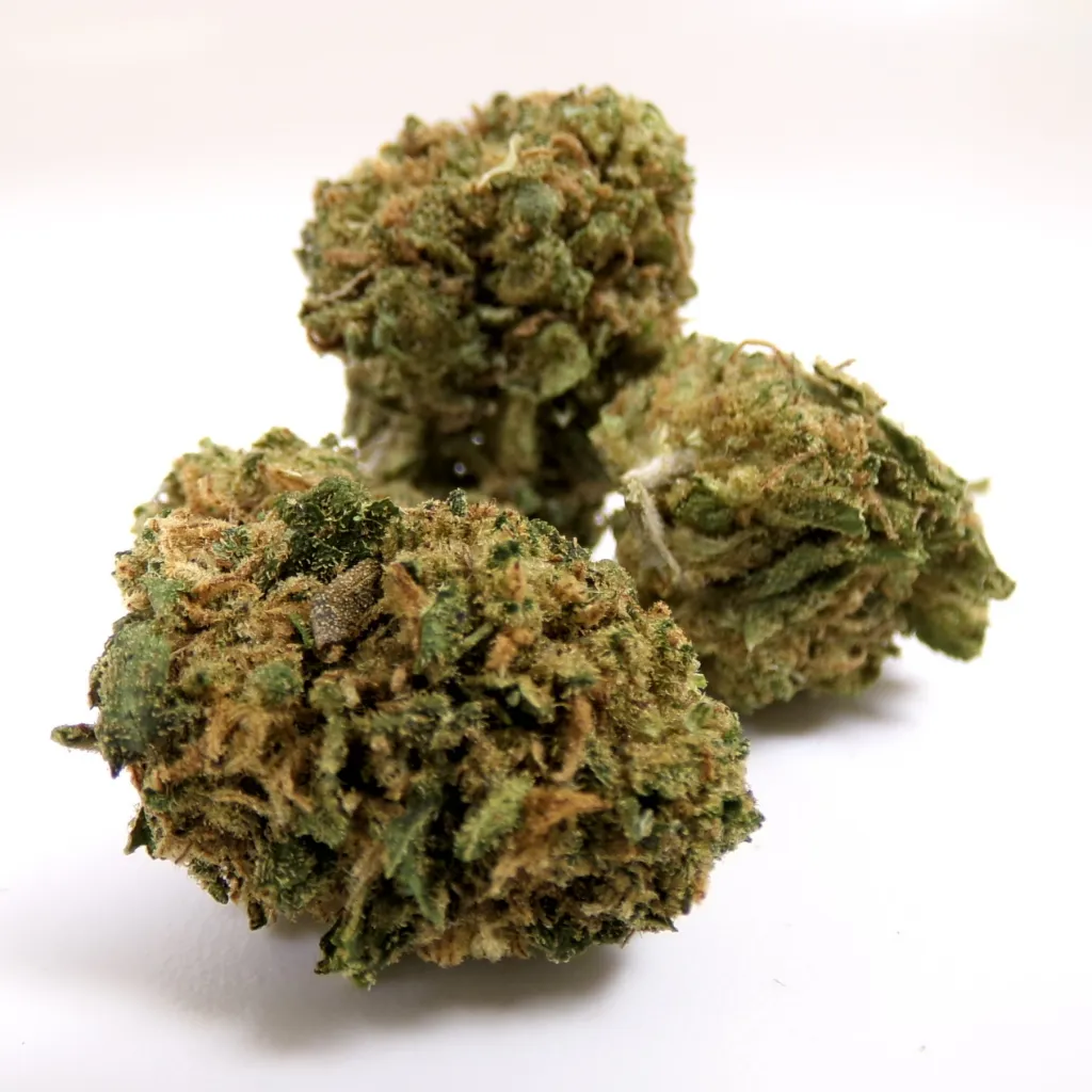 Orange Bud