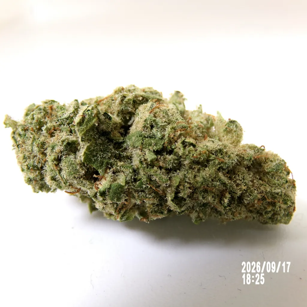 Chem Dog