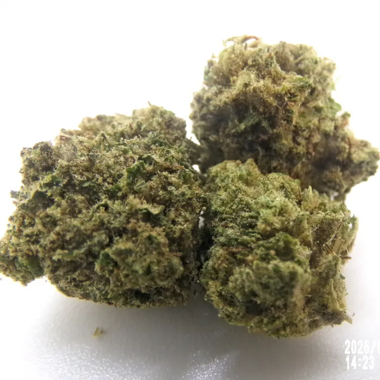 MS - Critical Berries