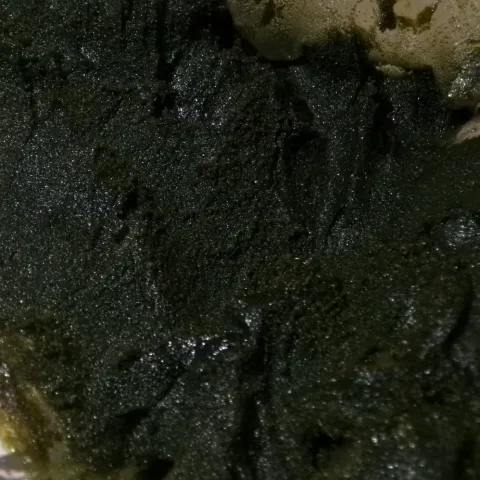 CBN - Afghan