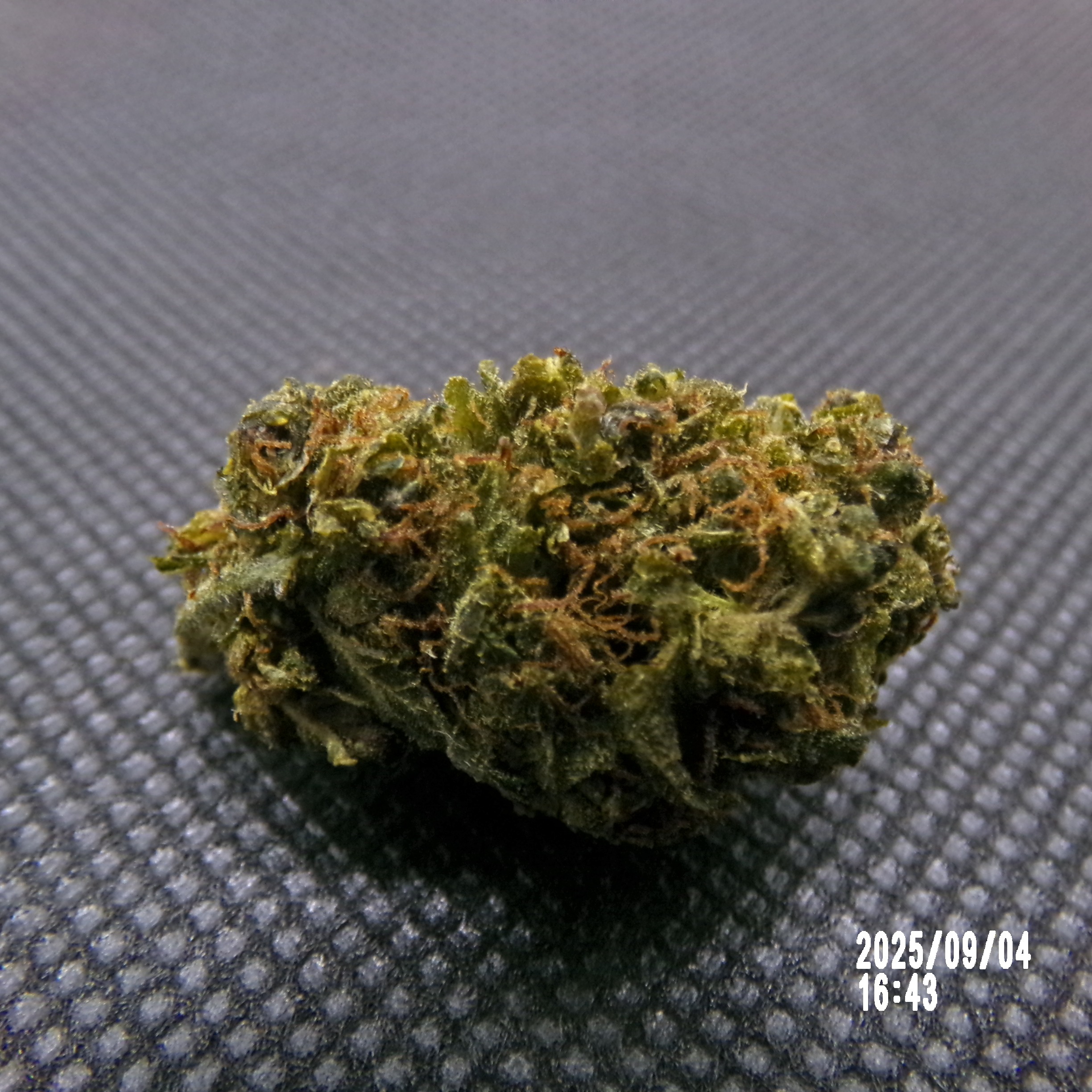 CBDX - Tropical Kiss