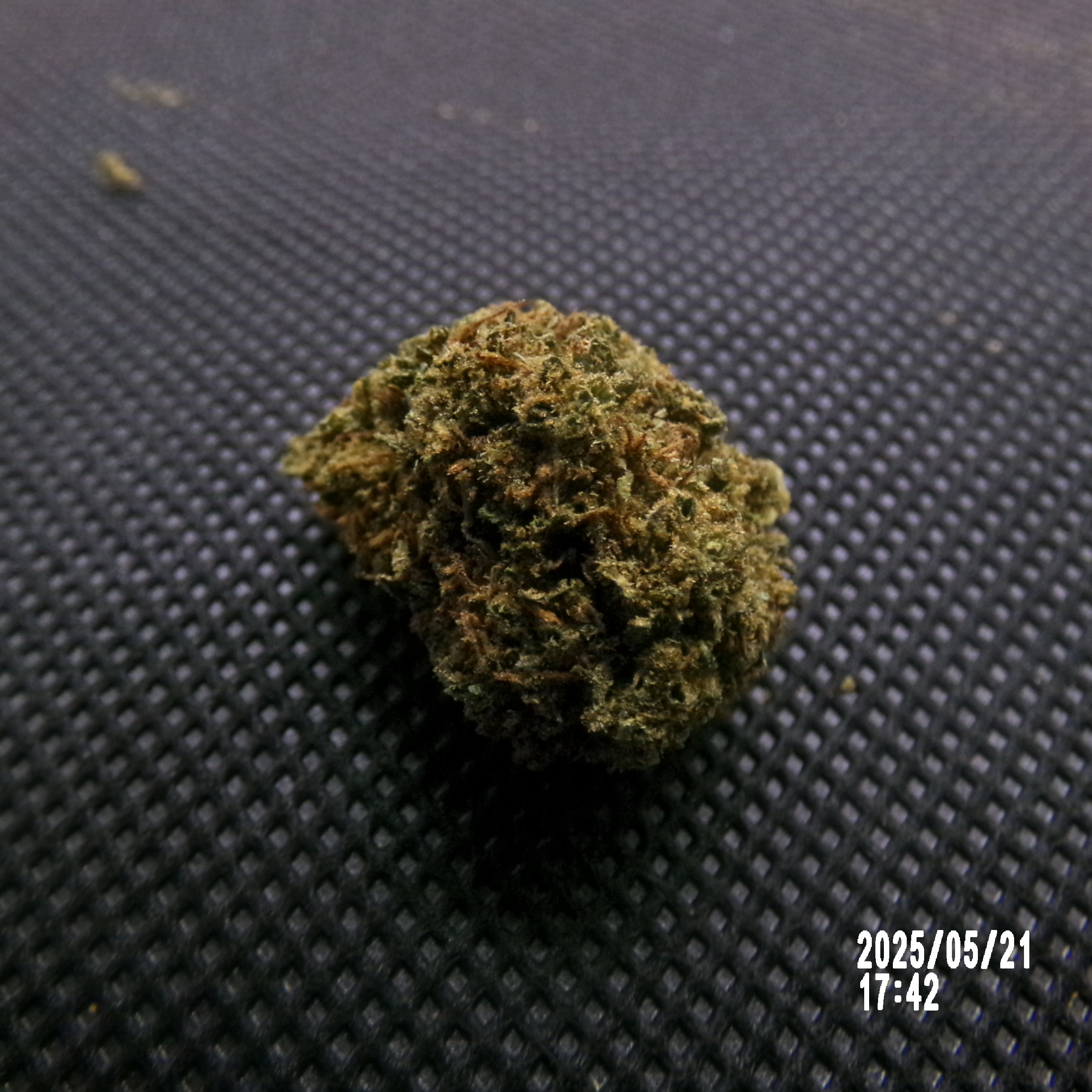 CBD - White widow