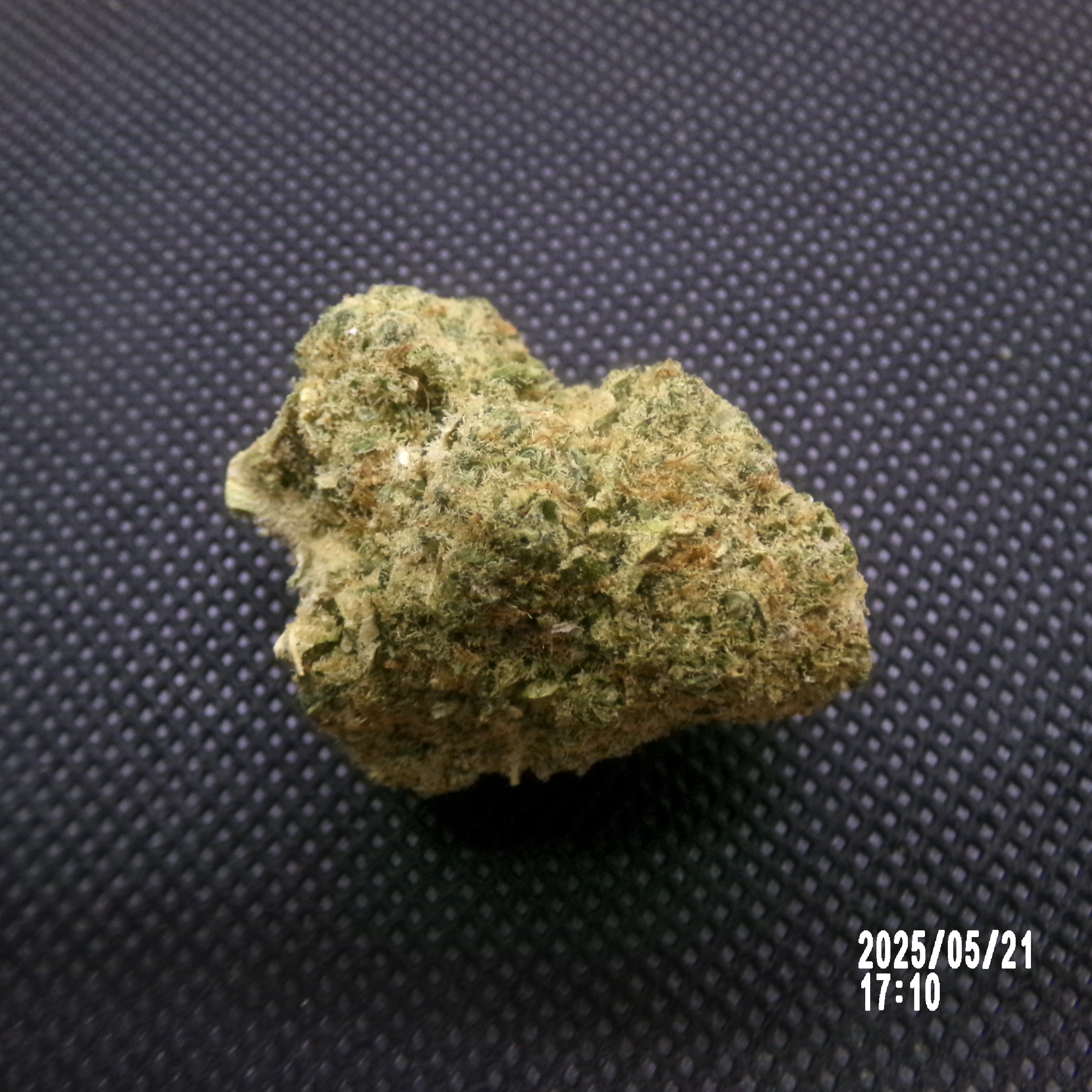 CBD - Gelato