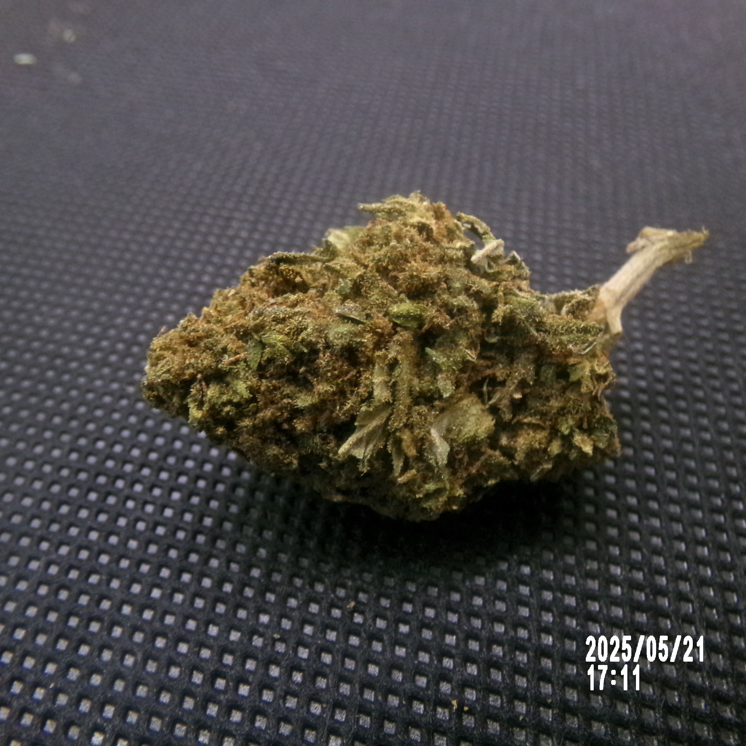 CBD - Cannatonic