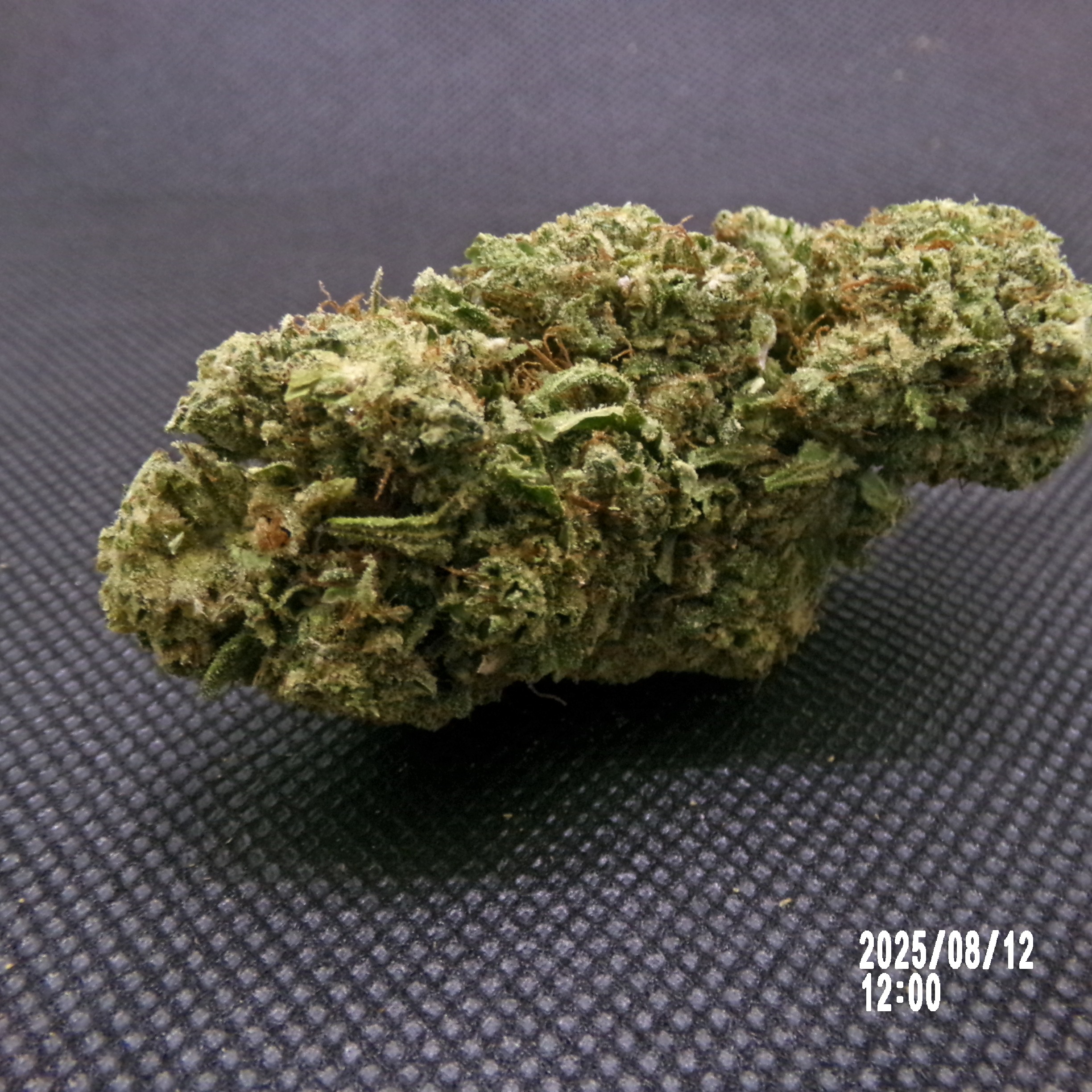CBDX - Sunset Sherbet
