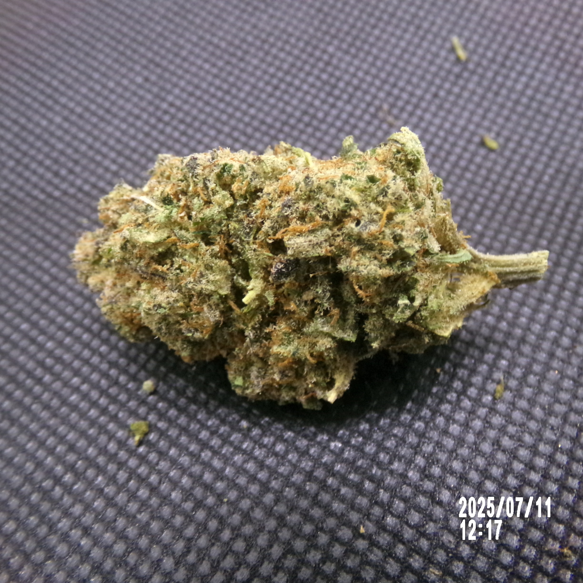 CBD - Blue Gelato Royal