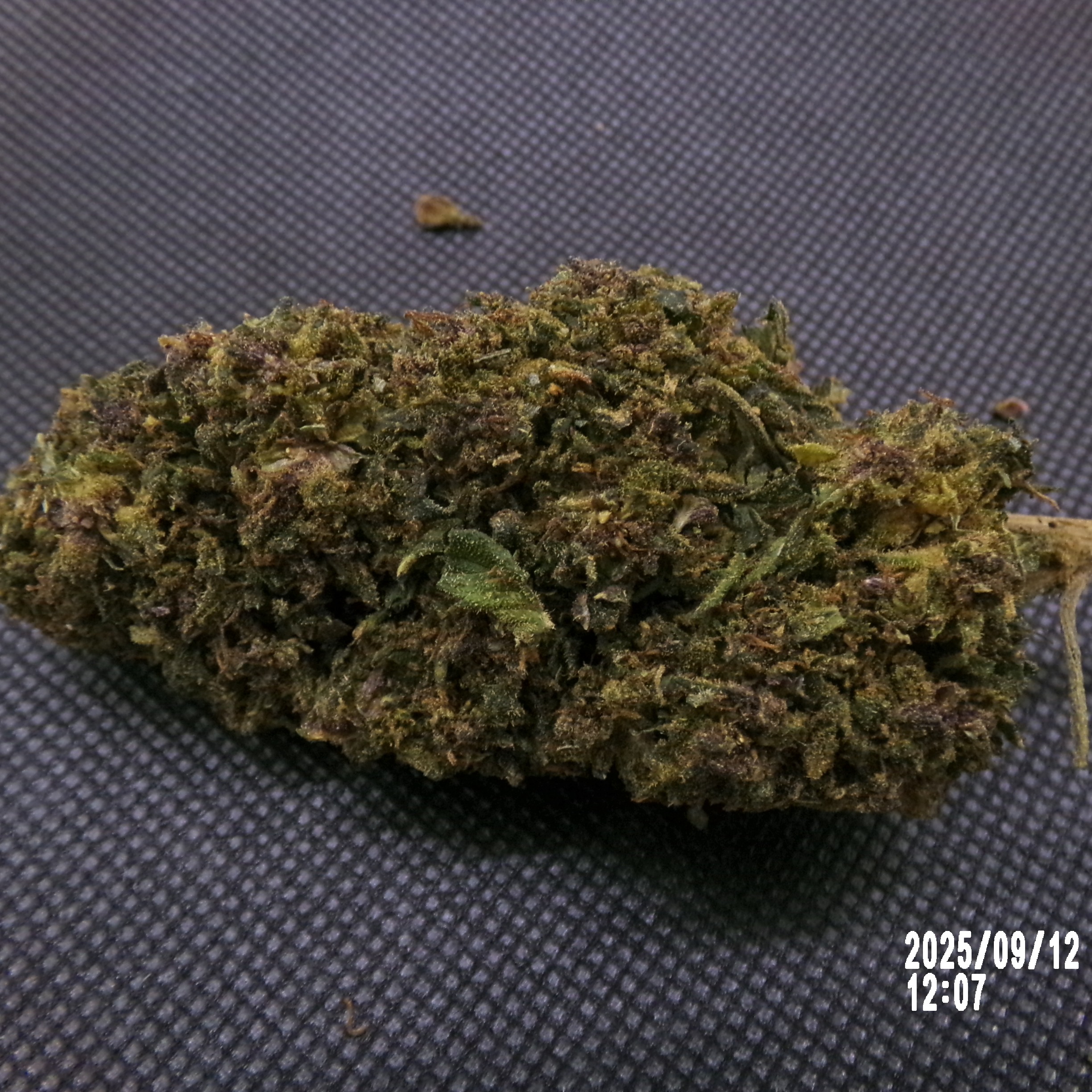 NL1 - Purple Punch