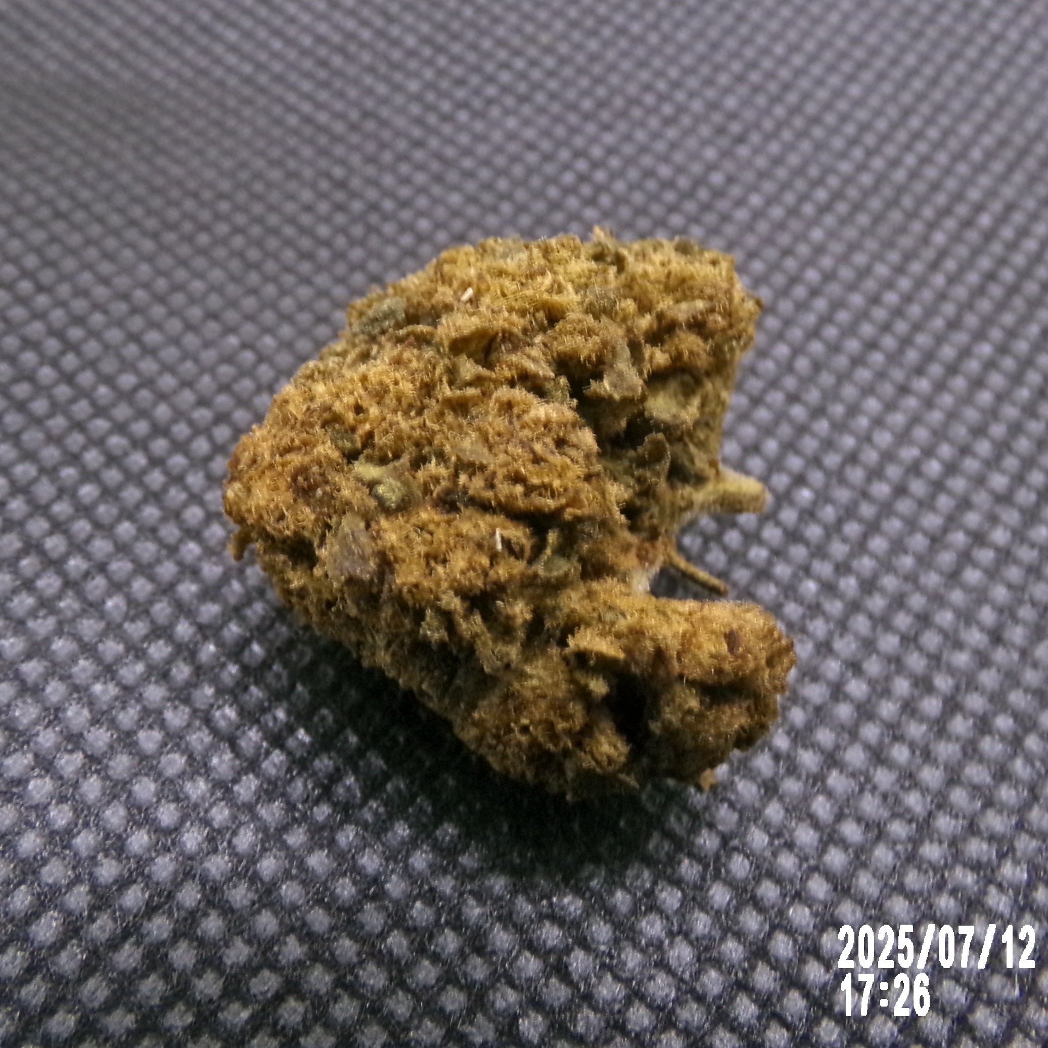 CBDX - Cannatonic