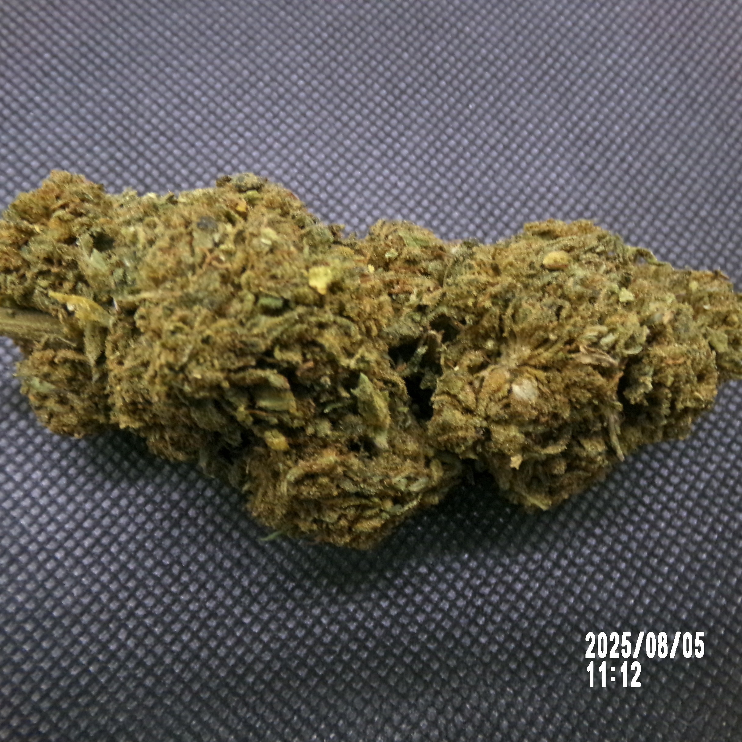 CBD - Gorilla