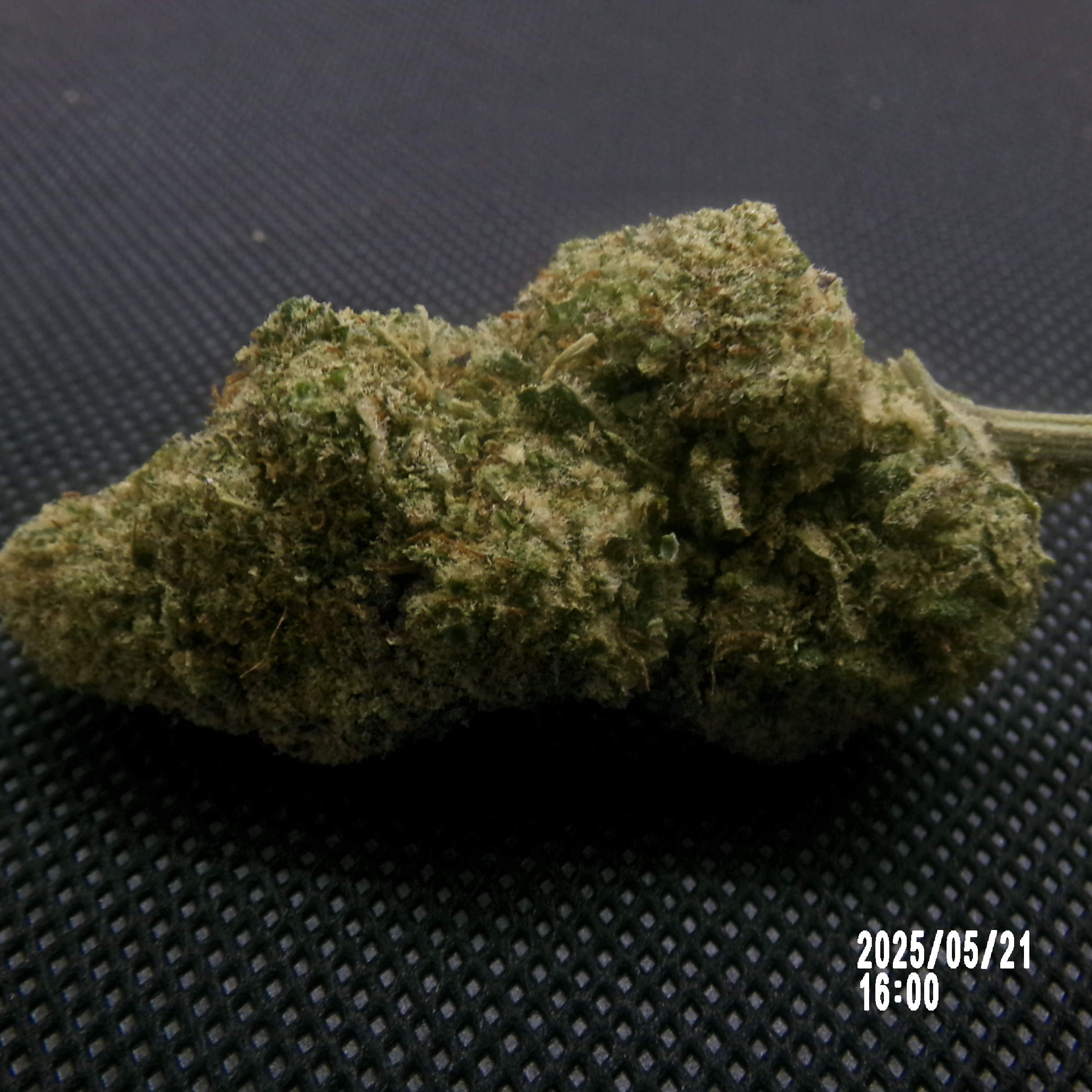 CBD - Lemon Haze