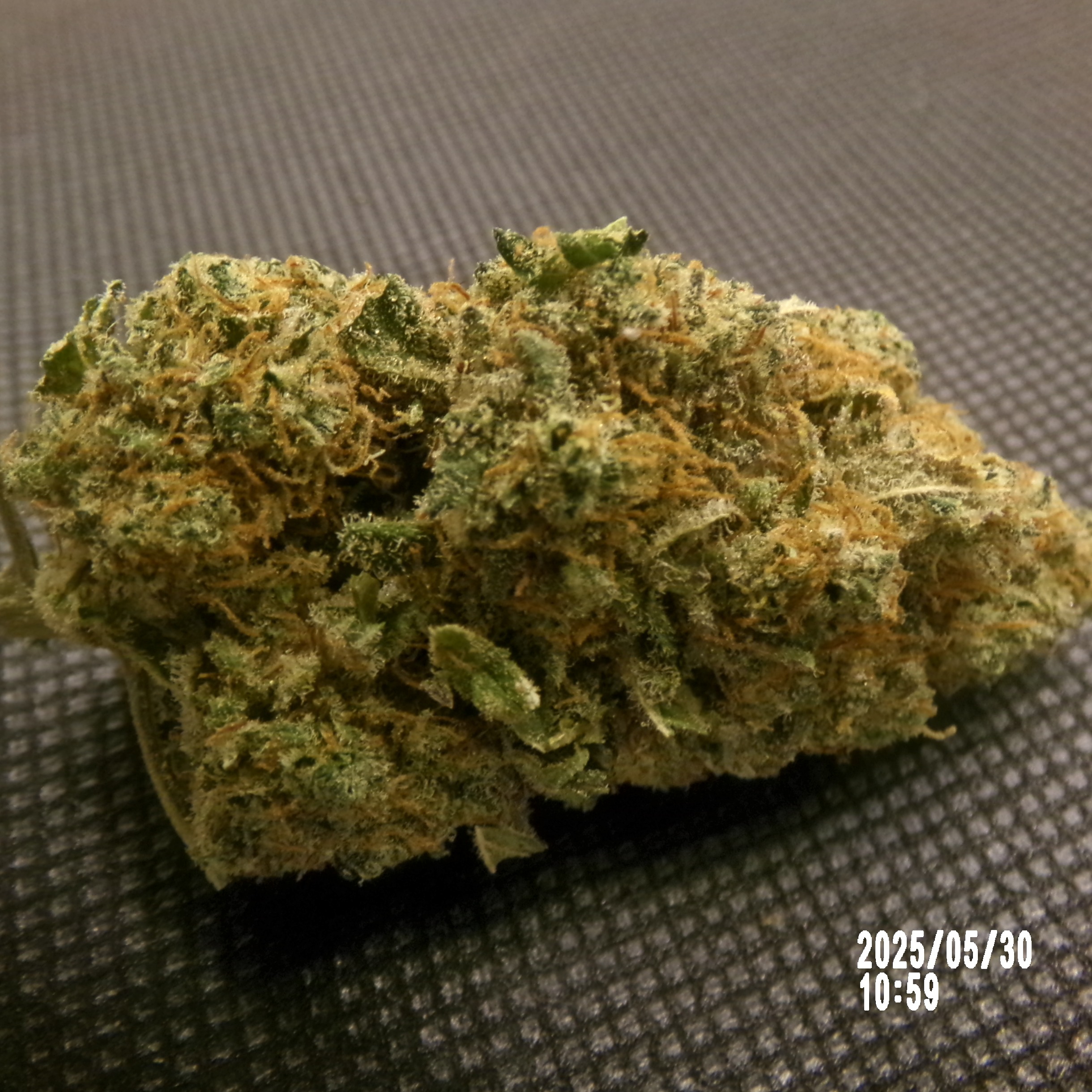 CBD - Lemon Kush pop