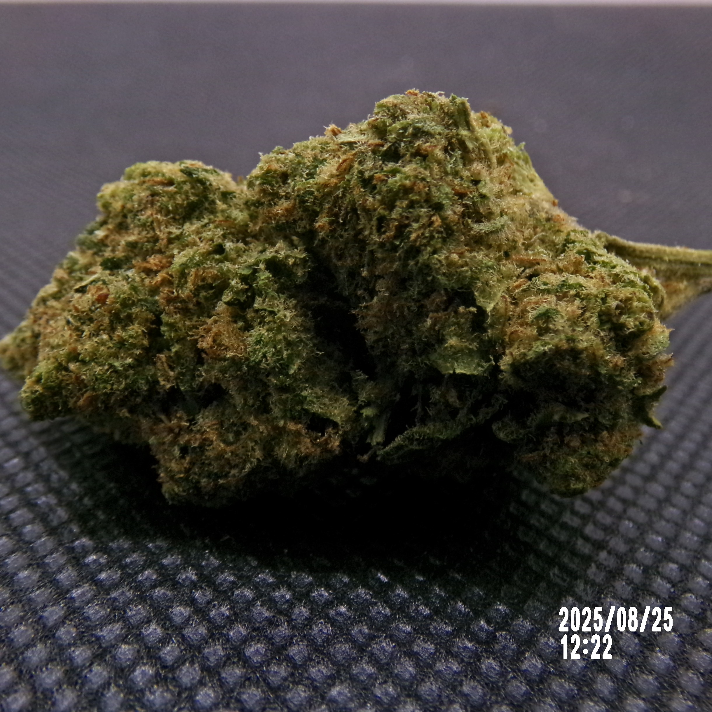 MS - Hawaiiz