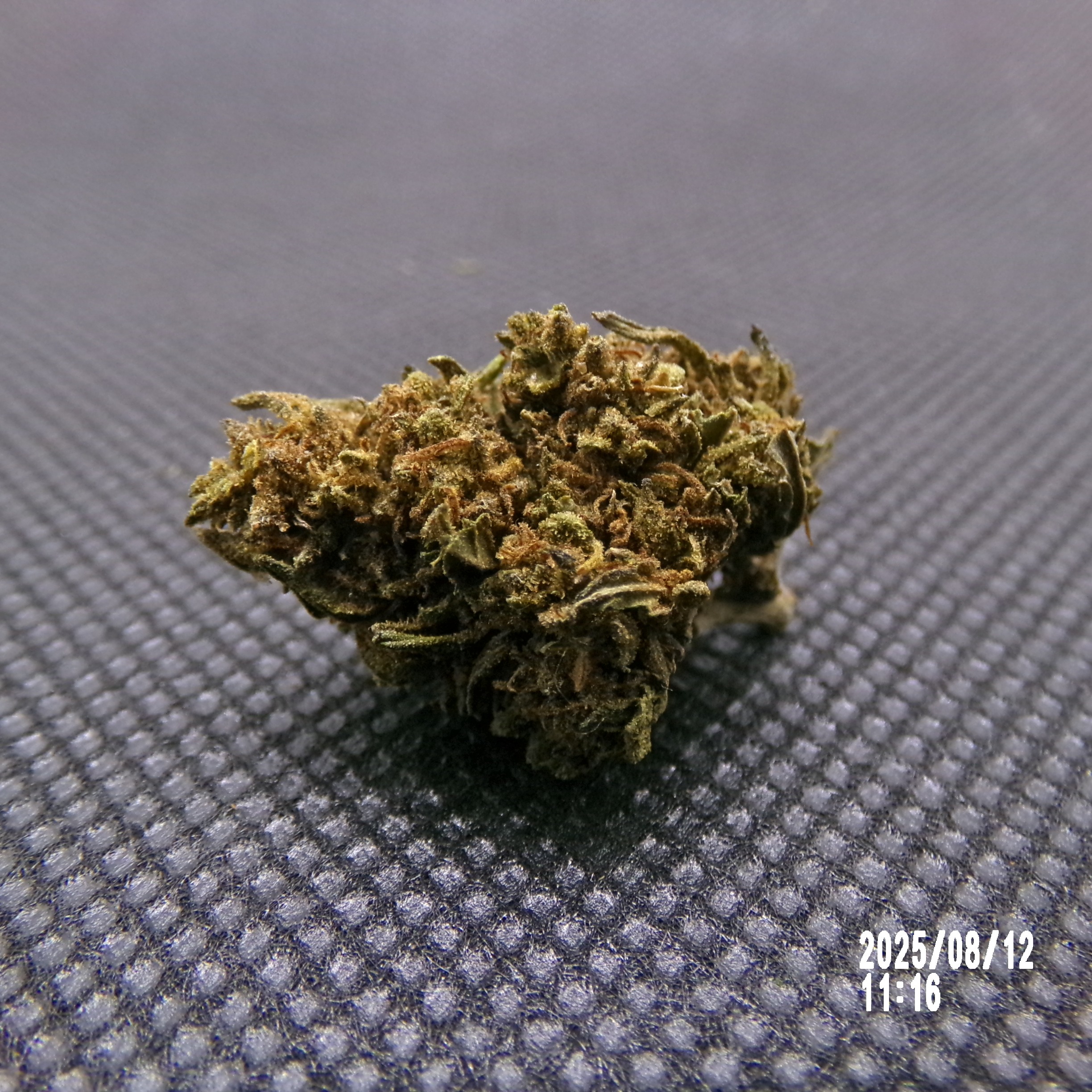 SB - Strawberry