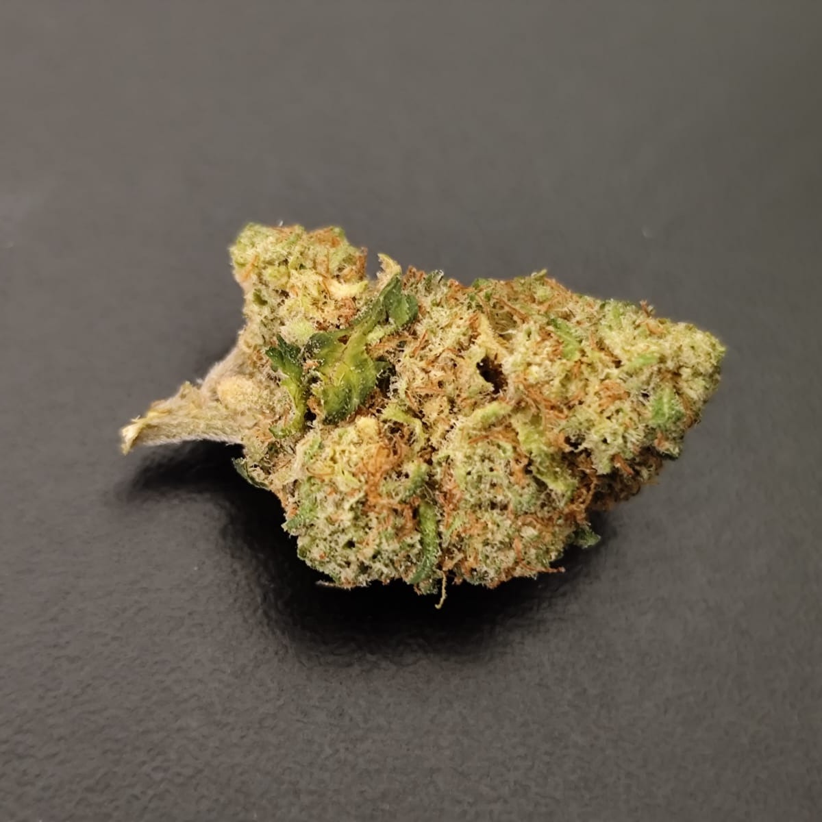 MS - Mandarine sunset