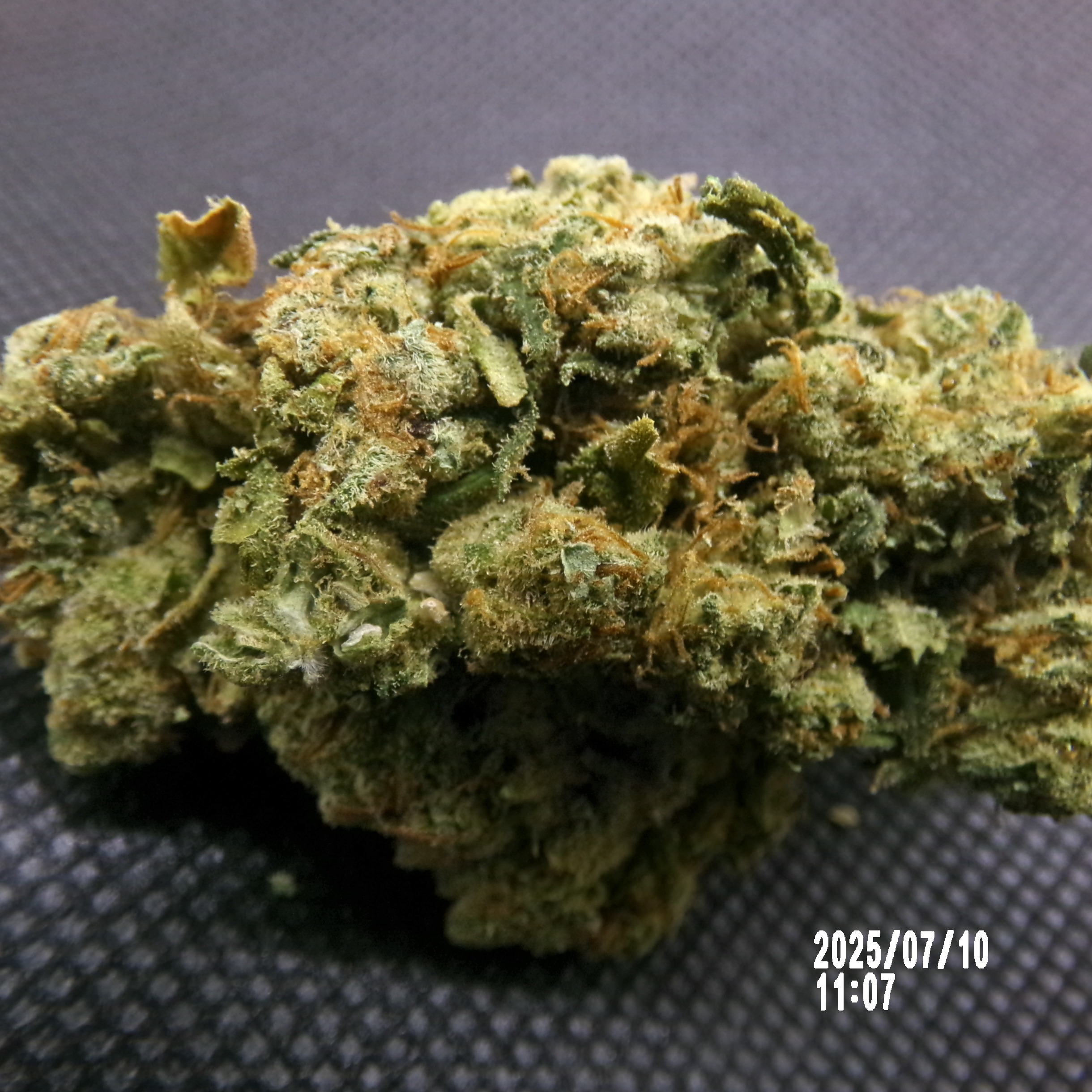 CBD - Amnésia