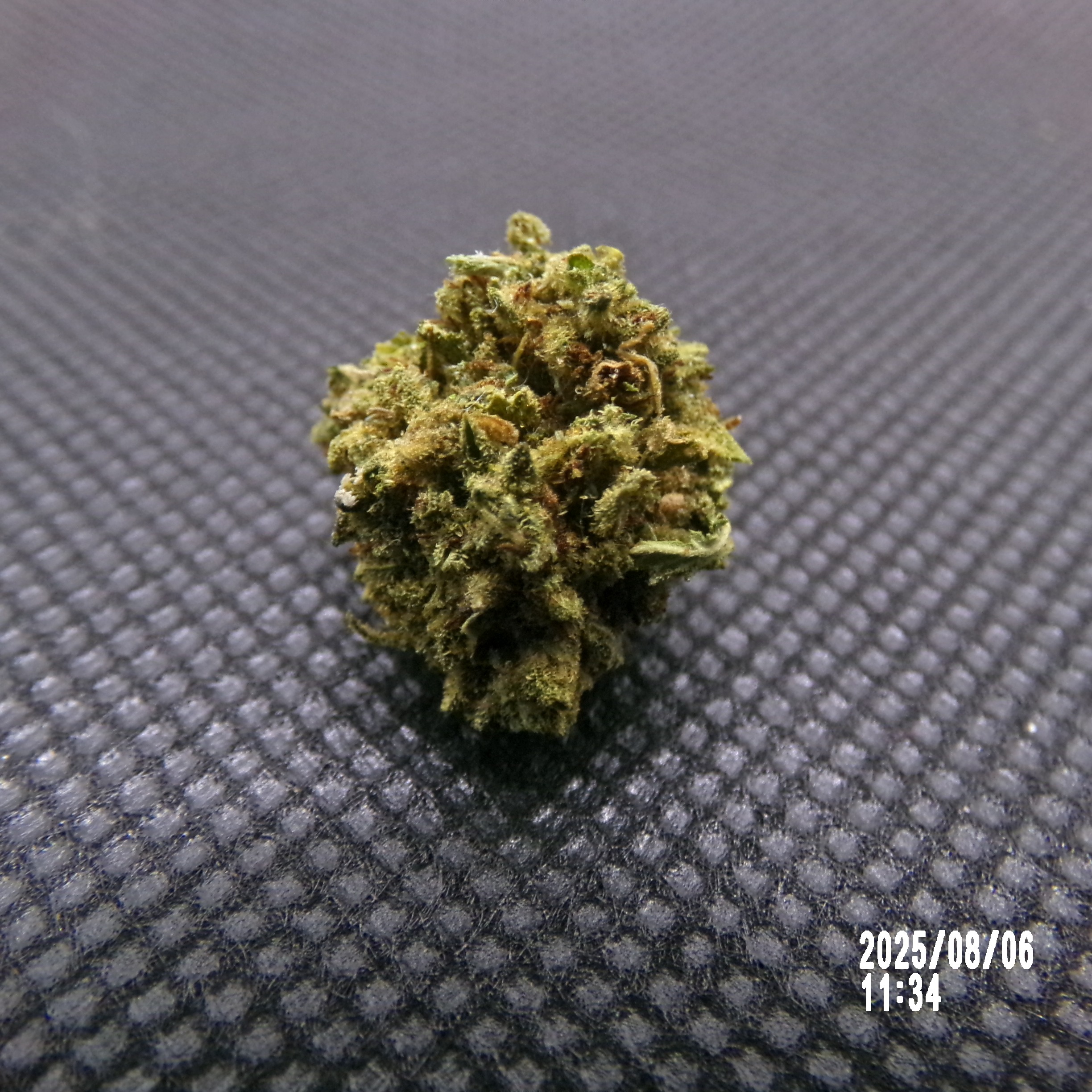 SB - Buddha Cheese